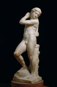 Apollo tai David, n. 1530 (marmori) (katso myös 79843 ja 230332)